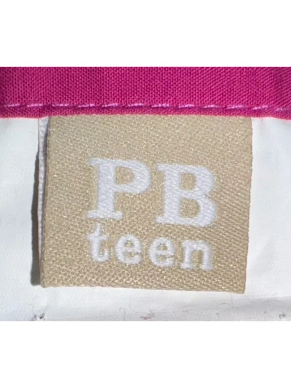 POTTERY BARN TEEN Gemma Ikat EURO Sham Purple Pink *Retired* EUC